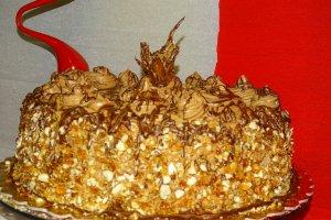Desert tort M