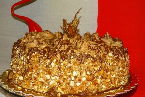 Desert tort M
