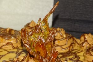 Desert tort M
