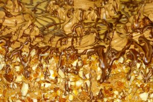 Desert tort M