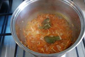 Pateu vegetal de linte