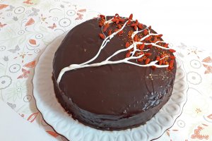Desert tort de primavara cu ciocolata si fructe goji