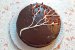 Desert tort de primavara cu ciocolata si fructe goji-1