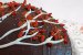 Desert tort de primavara cu ciocolata si fructe goji-3