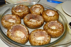 Ciuperci brune la cuptor