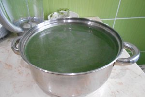 Supa crema de urzici
