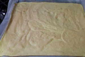 Desert tort spirala cu fructe de padure si glazura oglinda