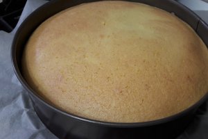 Desert tort spirala cu fructe de padure si glazura oglinda