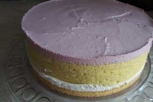 Desert tort spirala cu fructe de padure si glazura oglinda