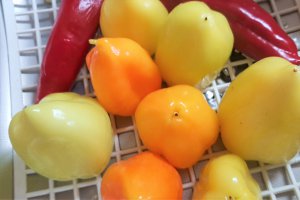 Ciorba de ardei umpluti cu carne de vacuta