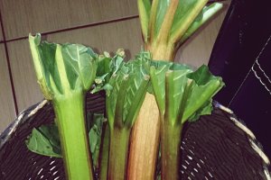 Ciorba de vacuta cu rubarba