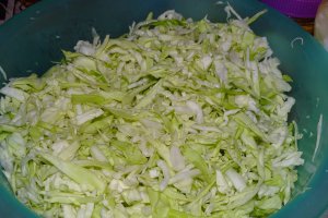 Varza noua cu ceapa verde la cuptor