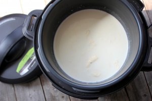 Budinca de orez cu capsuni la Multicooker Crock-Pot cu gatire sub presiune