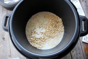 Budinca de ovaz cu lapte de cocos la Multicooker Crock-Pot Express cu gatire sub presiune