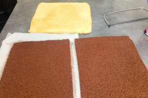 Desert tort cifra 1