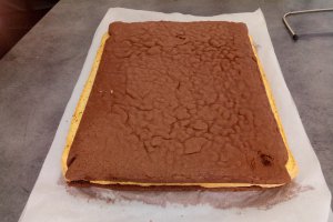 Desert tort cifra 1