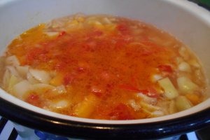 Bors taranesc, cu legume si taitei