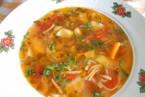 Bors taranesc, cu legume si taitei