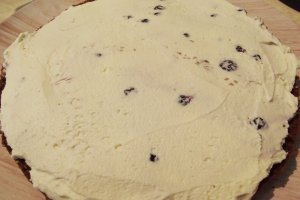 Desert tort cu crema de ciocolata alba si afine - 7 ani de bucataras