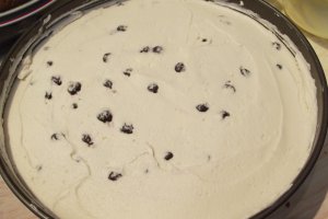 Desert tort cu crema de ciocolata alba si afine - 7 ani de bucataras