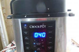 Tocanita de iepure cu ciuperci la Multicooker Crock-Pot cu gatire sub presiune