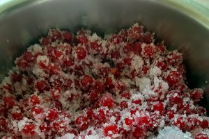 Jeleu de coacaze rosii