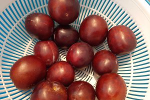 Tarta cu prune si nuci