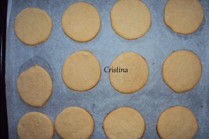 Biscuiti cu unt de arahide si ciocolata