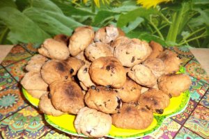 Biscuiti cu coacaze si stafide