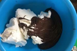 Tort cu ciocolata si crema de vanilie