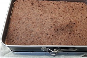 Prajitura cu crema de ciocolata si zmeura