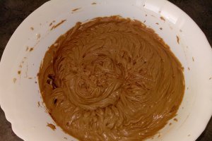 Desert tort Castel