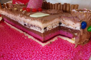 Desert tort Castel