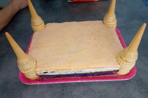 Desert tort Castel