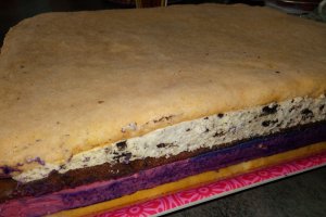 Desert tort Castel