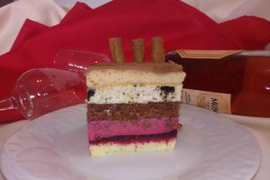 Desert tort Castel