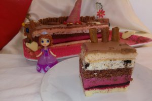 Desert tort Castel