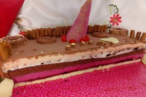 Desert tort Castel