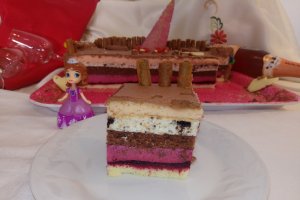 Desert tort Castel