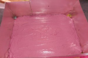 Desert tort Castel