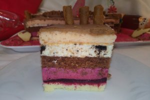 Desert tort Castel