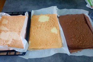 Desert tort Castel