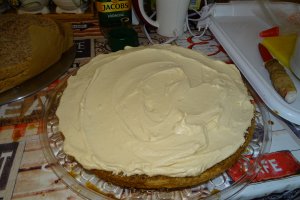 Desert tort Leone 22