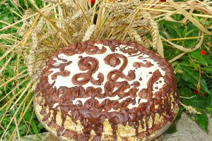 Desert tort Leone 22