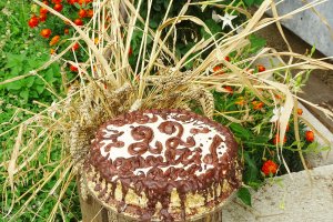 Desert tort Leone 22
