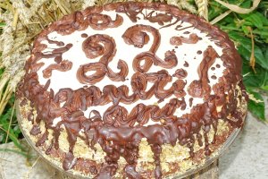 Desert tort Leone 22