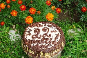 Desert tort Leone 22