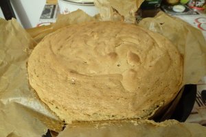 Desert tort musuroi cu krant