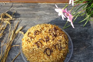 Desert tort musuroi cu krant