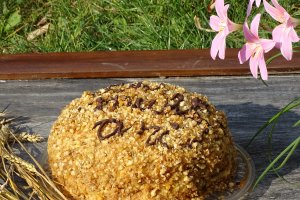 Desert tort musuroi cu krant